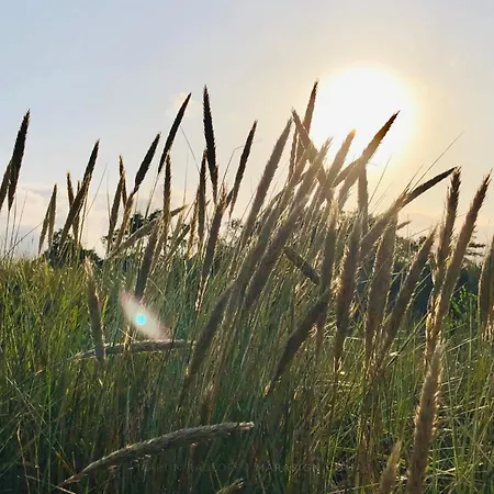 Luxury Retreat With Pool - By Traum